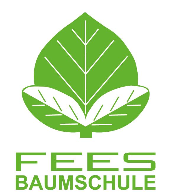 Baumschule Fees